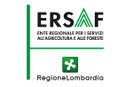 logo esraf
